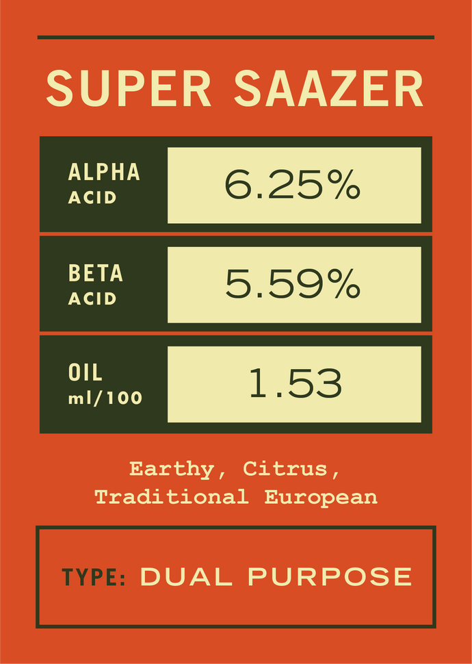 Super Saazer - 2021 [11lbs]