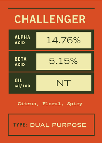Lot Summary Card