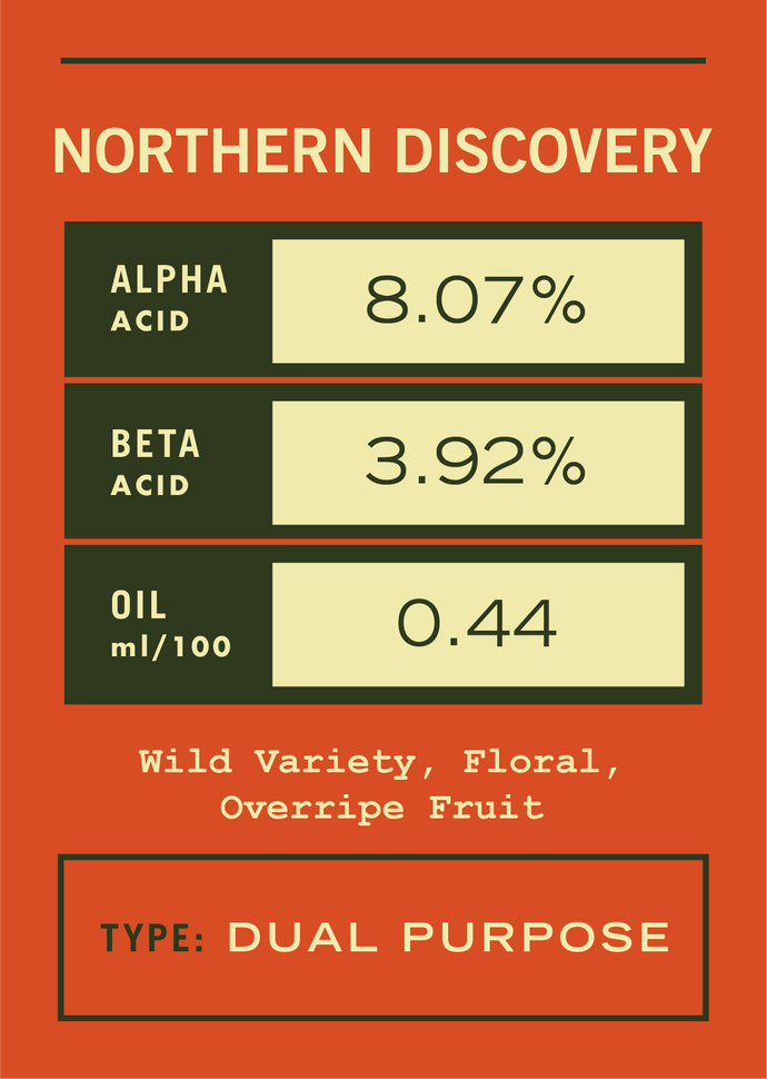 Northern Discovery - 2021 [11lbs]
